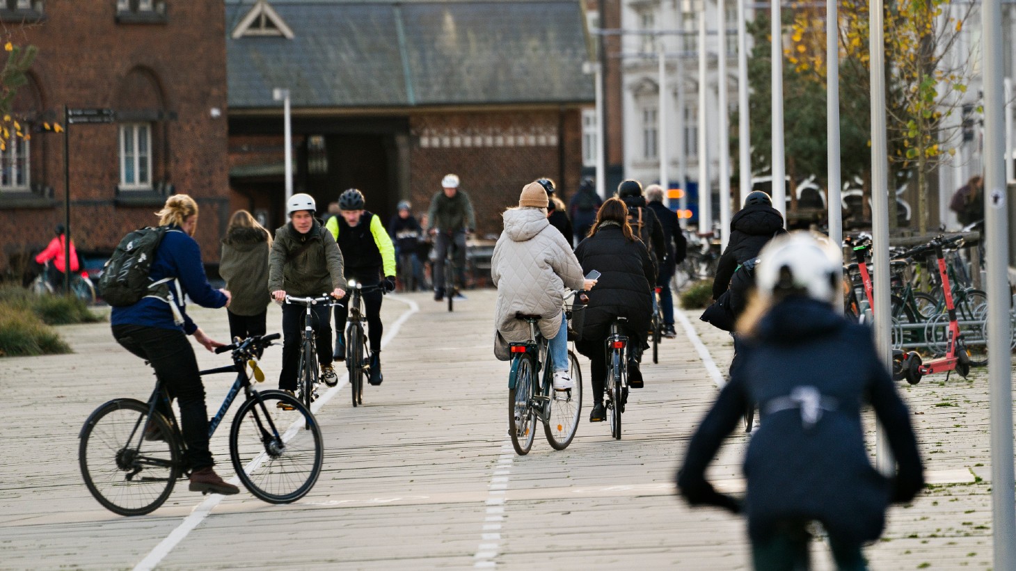 Cyklister på cykelsti